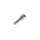 Angled Abutment Screw
